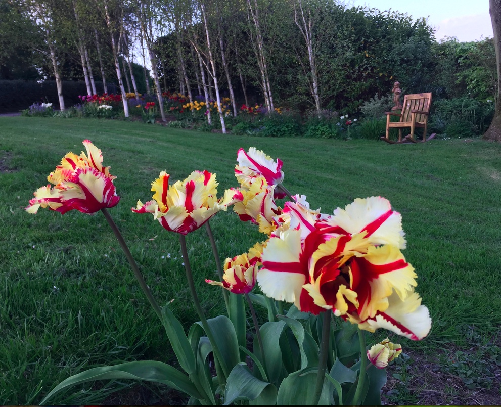 Screen Shot 2018-04-25 at 18.50.59